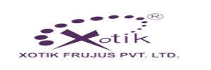 XOtik