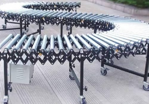 Flexible chain conveyor